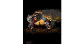 Drawing of tortoise by GreyhoundMama