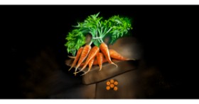 Drawing of carrot by Çhåching