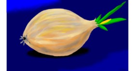 Drawing of onion by Flowerpot