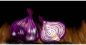 Drawing of onion by Eclat de Lune