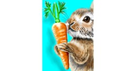 Drawing of carrot by ⋆su⋆vinci彡