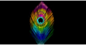 Drawing of feather by Eclat de Lune