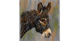 Drawing of donkey by KayXXXlee