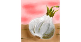 Drawing of onion by Belem