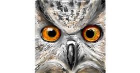 Drawing of owl by ⋆su⋆vinci彡