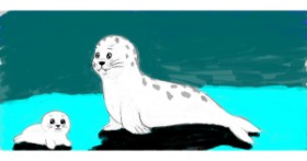 Drawing of seal by Vanibunny