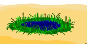Drawing of oasis by Swimmer